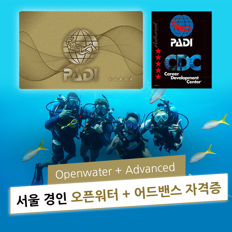 PADI 오픈워터+어드밴스 스쿠버다이빙 자격증 스킨 스쿠바 교육 과정 코스 [서울 경인]